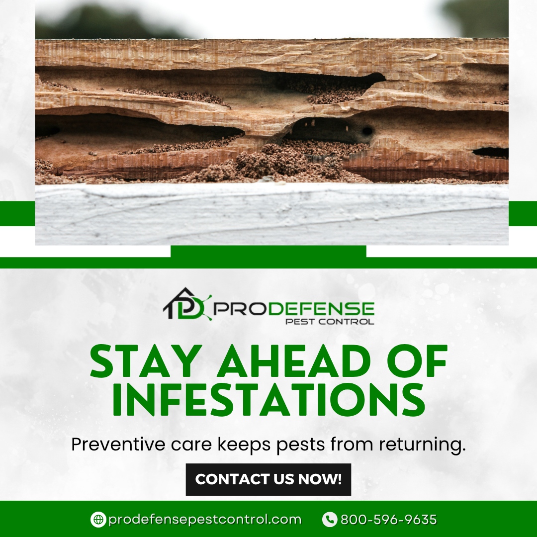 San Antonio Residential Pest Control