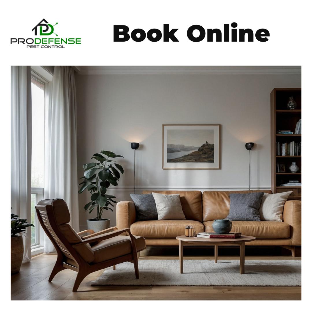 Termite Control in San Antonio